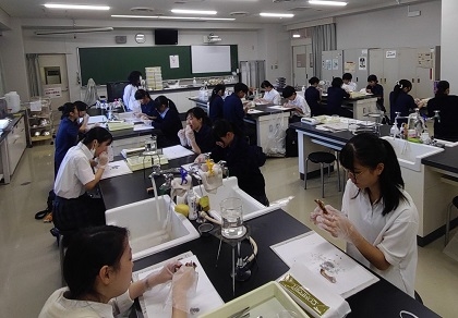 いのちの博物館の標本貸し出し