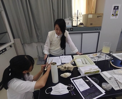 いのちの博物館の標本貸し出し