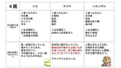 いのちの博物館レポート（座間市立西中学校）