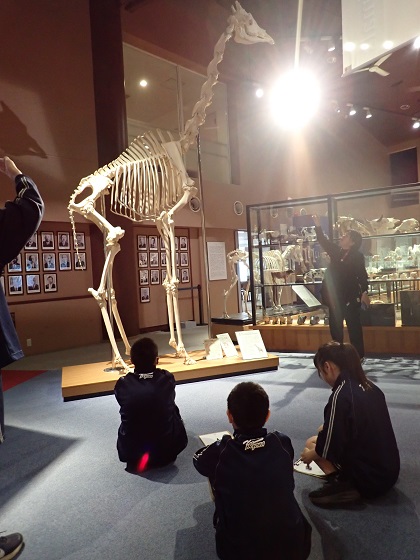 相模原市立共和中学校の皆様がいのちの博物館を見学