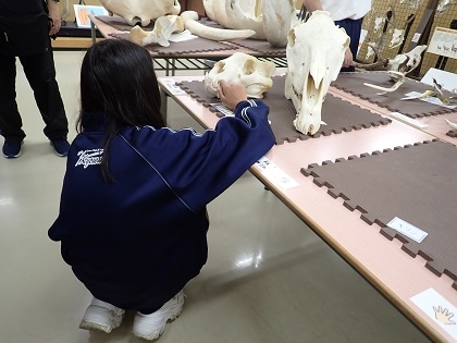 相模原市立共和中学校の皆様がいのちの博物館を見学