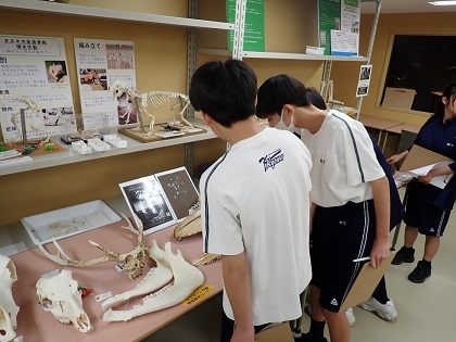 相模原市立共和中学校の皆様がいのちの博物館を見学