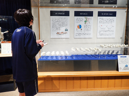 相模原市立共和中学校の皆様がいのちの博物館をご見学
