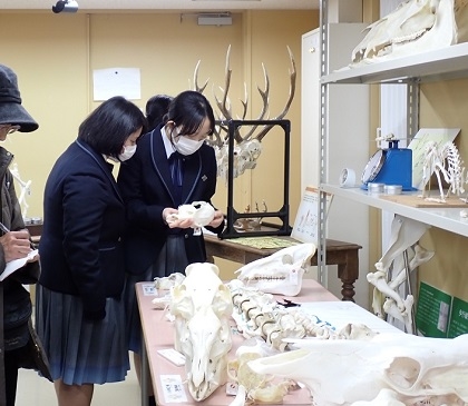聖園女学院の皆様がいのちの博物館を見学