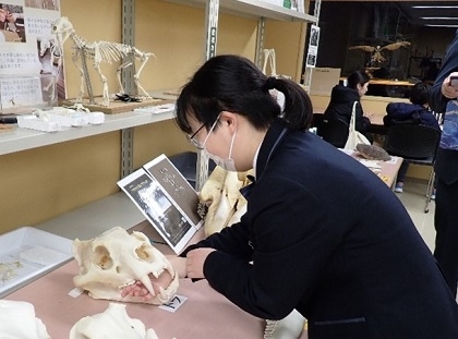 聖園女学院の皆様がいのちの博物館を見学