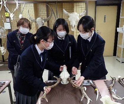 聖園女学院の皆様がいのちの博物館を見学