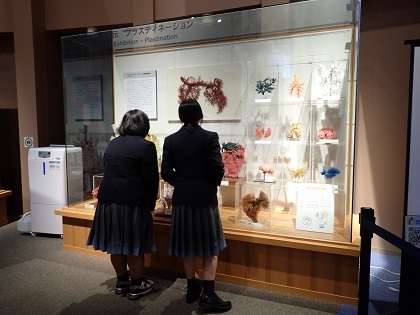 聖園女学院の皆様がいのちの博物館を見学