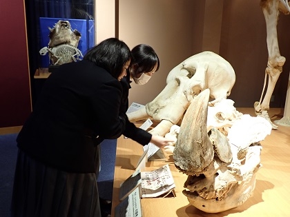 聖園女学院の皆様がいのちの博物館を見学