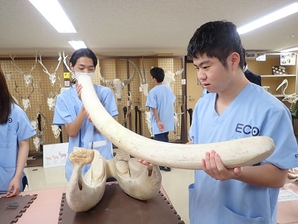 名古屋ECO動物海洋専門学校がいのちの博物館に来館