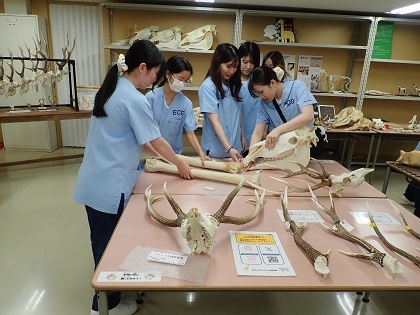 名古屋ECO動物海洋専門学校がいのちの博物館に来館
