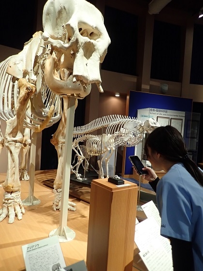 名古屋ECO動物海洋専門学校がいのちの博物館に来館