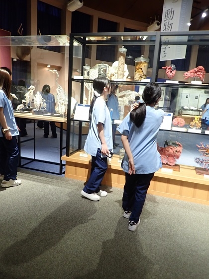 名古屋ECO動物海洋専門学校がいのちの博物館に来館