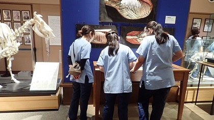 いのちの博物館だより