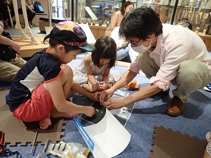 いのちの博物館イベント夏休み子ども教室