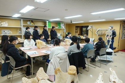 ウマの進化を学ぶワークショップ