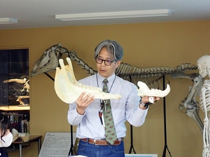 ウマの進化ワークショップ
