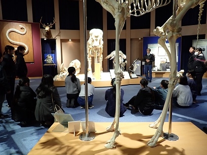 ウマの進化を学ぶワークショップ