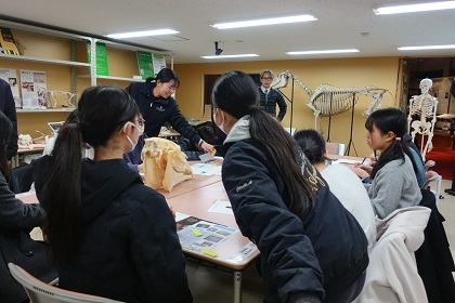 ウマの進化を学ぶワークショップ
