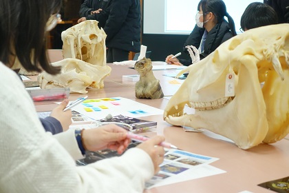 ウマの進化を学ぶワークショップ