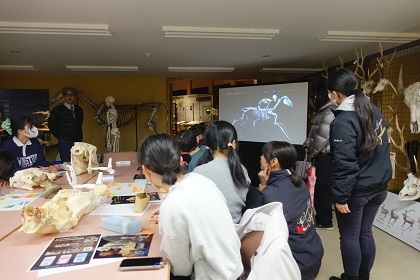 ウマの進化を学ぶワークショップ