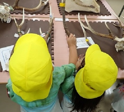 相生こども園の皆様がご見学されました、 本物の骨に触れるハンズオンコーナー