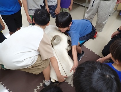 トライアフタースクール日吉本町の皆様がご見学されました。 ハンズオンコーナー