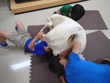 トライアフタースクール日吉本町の皆様がご見学されました。 ハンズオンコーナー