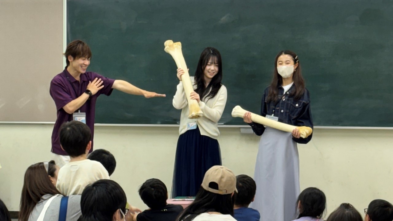 相模原市立図書館「キッズ☆フェスタ2026」でミュゼットが解説活動を行いました