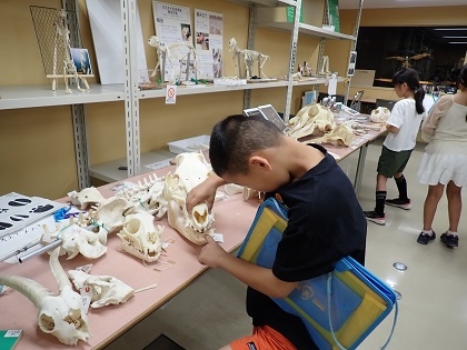 SDGsスタディツアーで根小屋小学校の皆様がご見学されました、 グループ行動