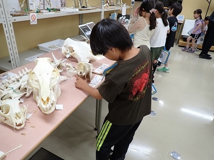 SDGsスタディツアーで根小屋小学校の皆様がご見学されました 、グループ行動