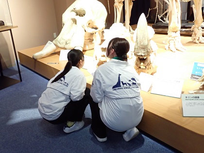 中央動物総合専門学校の皆さんが来館されました.館内の標本を観察