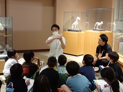 SDGsスタディツアーで根小屋小学校の皆様がご見学されました 草食動物のウマと肉食動物のトラの本物の頭蓋骨