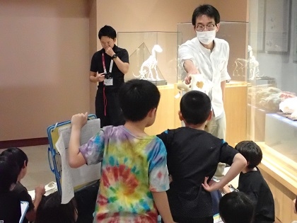 SDGsスタディツアーで根小屋小学校の皆様がご見学されました 頭蓋骨の鼻の中も観察