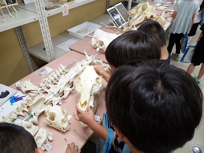 SDGsスタディツアーで根小屋小学校の皆様がご見学されました、 グループ行動
