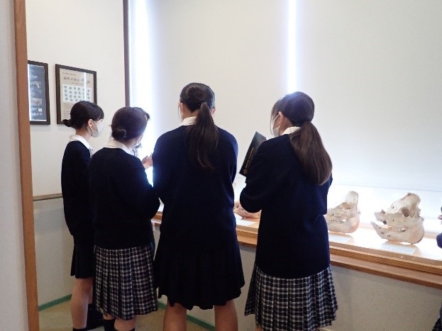 明星中学の生徒さんがいのちの博物館を訪問