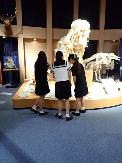 神奈川学園中学校の皆さんが来館
