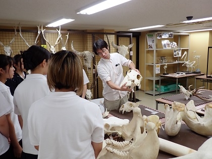 横須賀高校の皆様がご来館されました　展示室をご見学