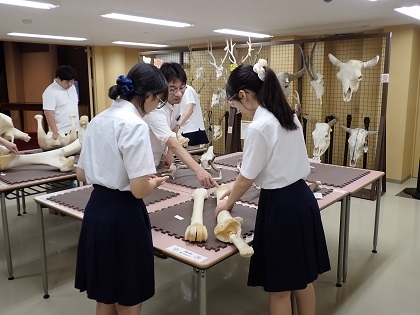 横須賀高校の皆様がご来館されました　展示室をご見学