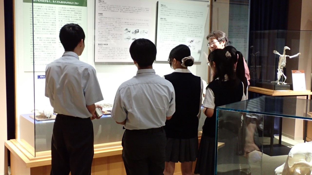 桐蔭学園高等学校の皆さんが来館されました