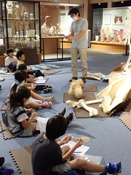 「肩の関節ってなんだろう」から考えます