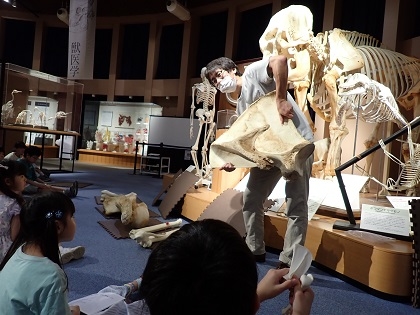 肩の骨にはかべがあること、腕の骨にはでっぱりがあることに注目します