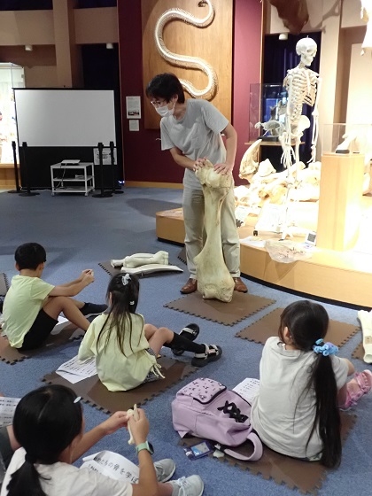 肩の骨にはかべがあること、腕の骨にはでっぱりがあることに注目します