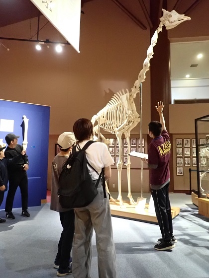 館内の案内は博物館解説サークル