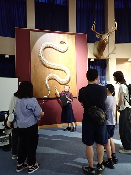 館内の案内は博物館解説サークル