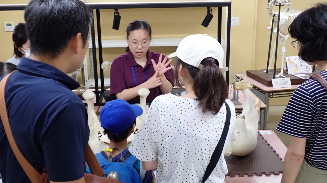 いのちの博物館だより