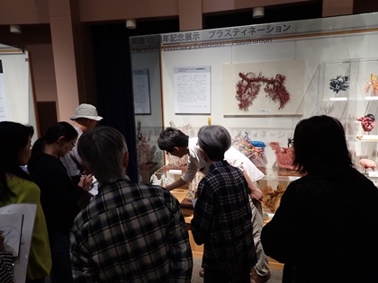 本学ならではの鋳型標本の展示