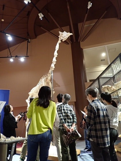東京動物園ボランティアーズ・ドーセントグループ・オランウータン活動班（多摩動物公園）の勉強会が行われました