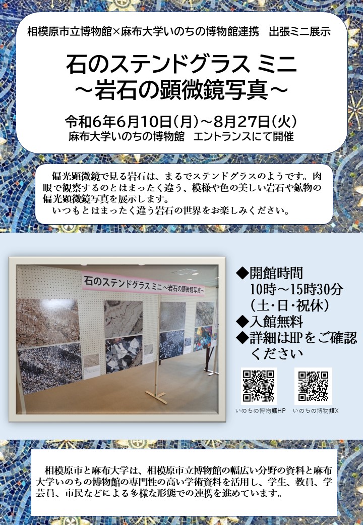 麻布大学いのちの博物館で市立博物館出張ミニ展示「石のステンドグラス ミニ～岩石の顕微鏡写真～」展