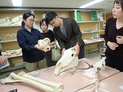 台湾の獣医師がいのちの博物館に来館