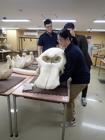 台湾の獣医師がいのちの博物館に来館